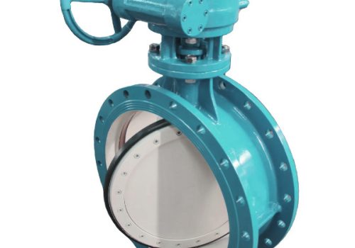 Supplier Butterfly Valve
